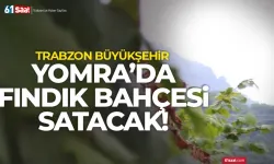 Trabzon'da Büyükşehir Fındık Bahçesi satacak!