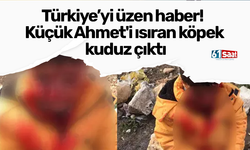 Türkiye’yi üzen haber! Küçük Ahmet'i ısıran köpek kuduz çıktı