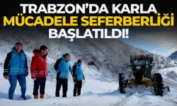 Trabzon'da karla mücadele seferberliği sürüyor!