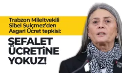 Trabzon Milletvekilinden Asgari Ücret ttepkisi... 'Sefalet ücretine yokuz'