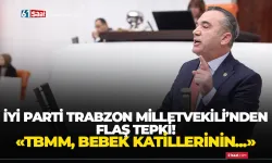 İYİ Parti Trabzon Milletvekili'nden sert tepki! "TBMM, bebek katilinin açıklamasının okunacağı bir yer değildir..."