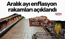 Aralık ayı enflasyon rakamları açıklandı