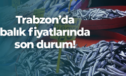 Trabzon’da balık fiyatlarında son durum!