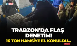 Trabzon'da flaş denetim! 16 ton hamsiye el konuldu...