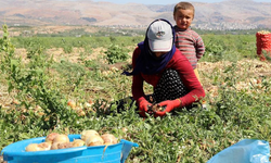 Mevsimlik işçilerin çocuklarının  eğitimi için  yeni önlemler