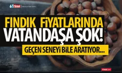 Fındık fiyatlarında vatandaşa şok! Geçen seneyi bile aratıyor...