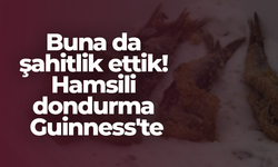 Buna da şahitlik ettik! Hamsili dondurma Guinness'te