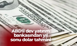 ABD'li dev yatırım bankasından yıl sonu dolar tahmini