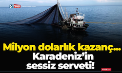 Karadeniz’in sessiz serveti! Hamsiden milyon dolarlık kazanç...