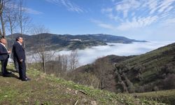 Trabzon'da heyelanlı bölgede incelemeler devam ediyor