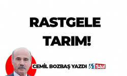 Cemil Bozbaş yazdı! RASTGELE TARIM!
