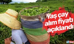 Yaş çay alım fiyatı açıklandı