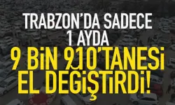 Trabzon’da sadece 1 ayda, 9 bin 910 tanesi el değiştirdi…