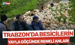 Doğu Karadeniz'de besicilerin yaylalara göçü sürüyor