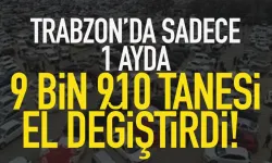 Trabzon’da sadece 1 ayda, 9 bin 910 tanesi el değiştirdi…