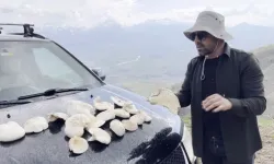 Erzincan dağlarının nadir lezzeti: Çaşır mantarı 1250 TL’den satılıyor