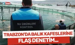 Trabzon'da denizdeki balık kafeslerine denetim