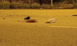 Feci çarpışma can aldı! Motosiklet sürücüsü hayatını kaybetti