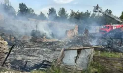 Uşak’ta ahır yangını: 54 kuzu telef oldu
