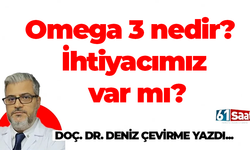 Omega 3 nedir? İhtiyacımız var mı?