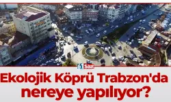 Ekolojik Köprü Trabzon'da nereye yapılıyor?
