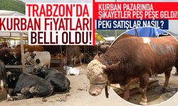 Trabzon'da Kurban Pazarında fiyatlar belli oldu! Şikayetler peş peşe geldi...