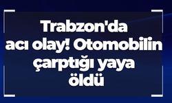 Trabzon'da acı olay! Otomobilin çarptığı yaya öldü