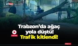 Trabzon’da ağaç yola düştü! Trafik kitlendi!