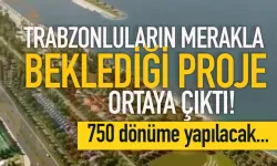 Trabzonluların merakla beklediği proje ortaya çıktı... 750 dönüme yapılacak!