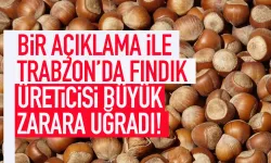 Bir açıklama Trabzon'da fındık üreticisini büyük zarara uğrattı!