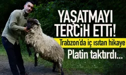 Trabzon'da kesmek yerine, yaşatmayı tercih etti! Platin taktırdı...