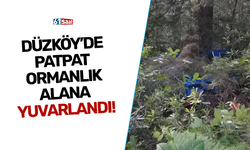 Düzköy’de patpat ormanlık alana yuvarlandı!