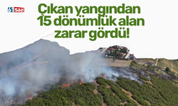 Çıkan yangından 15 dönümlük alan zarar gördü!