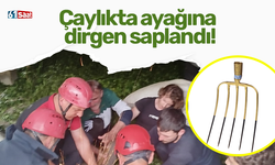 Çaylıkta ayağına dirgen saplandı!