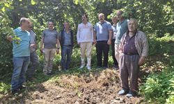 Akçaabat'ta kokarca ile mücadelede samuraylar doğaya bırakıldı!