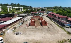 Ordu'da sokak hayvanları için örnek proje