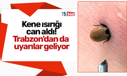 Kene ısırığı can aldı! Trabzon'dan da uyarılar geliyor