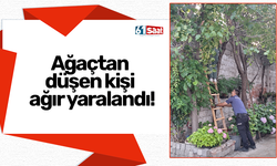 Ağaçtan düşen kişi ağır yaralandı!
