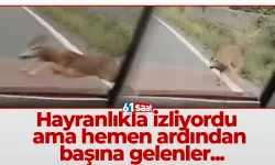 Hayranlıkla izliyordu ama hemen ardından başına gelenler...