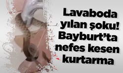Lavaboda yılan şoku! Bayburt’ta nefes kesen kurtarma