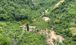 Trabzon'da Toklu Deresi taştı! Eski devlet sahil yolu sular altında kaldı