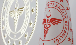 Sağlık Bakanlığı'ndan "kene" açıklaması geldi