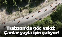 Trabzon’da göç vakti: Çanlar yayla için çalıyor!