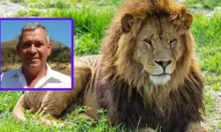 İşadamı safari kampında aslan saldırısıyla hayatını kaybetti
