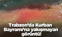 Trabzon’da Kurban Bayramı’na yakışmayan görüntü!