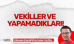 Vekiller ve yapamadıkları!