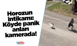 Horozun intikamı: Köyde panik anları kamerada!