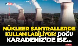Nükleer santrallerde kullanılabiliyor! Doğu Karadeniz'de bolca var...