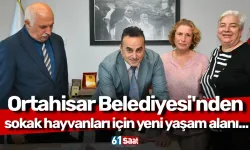 Ortahisar Belediyesi'nden sokak hayvanları için yeni yaşam alanı...