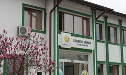 Karayemiş Konaklamalı Orman Parkı işletme hakkının kiraya verilmesi işi
